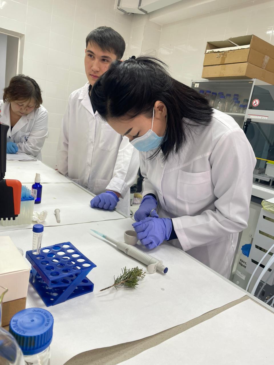 Болашақ биотехнологтар Алматыда өндірістік тәжірибе жинақтады 