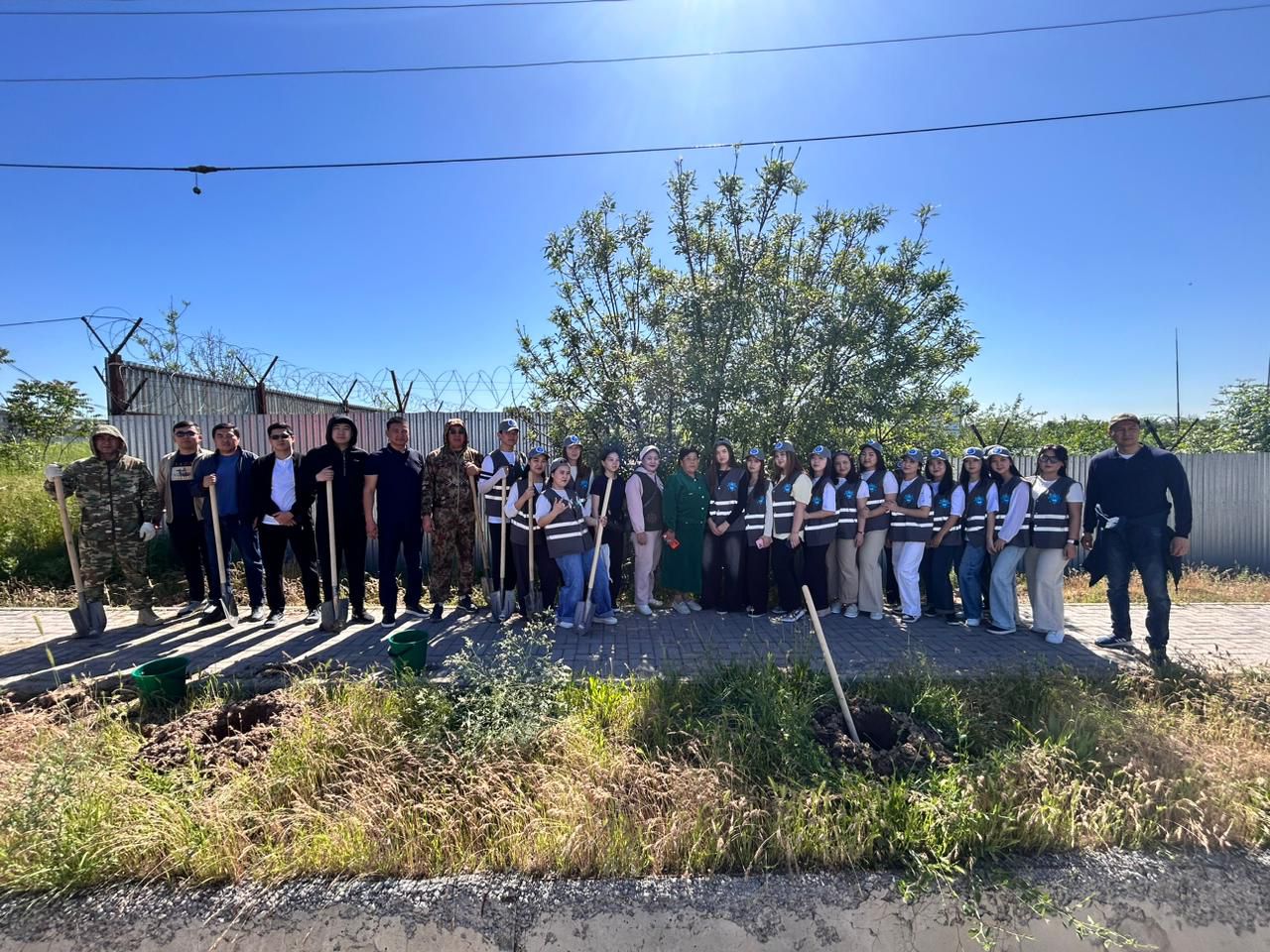 Жастар еккен жасыл желек – таза аула кепілі